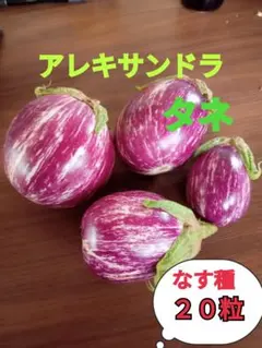 ごはん様 リクエスト 4点 まとめ商品