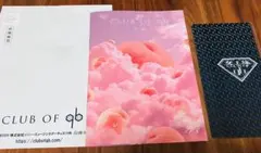 Item thumbnail for item ba1d1137-4e21-4b39-b652-dd68e362ec44