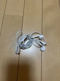 Apple EarPods with Lightning Connector