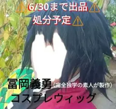 ⚠️6月いっぱいまで⚠️冨岡義勇 ウィッグ コスプレ【完全素人製 