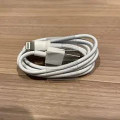Apple Lightning USBケーブル
