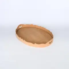 Item thumbnail for item df5b1b03-2d8f-42ec-9da0-335128771610