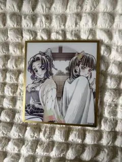 K*n様 鬼滅の刃WEB くじアクリル色紙 胡蝶しのぶ＆栗花落カナヲ