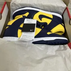 Nike ミシガンスニーカー 値下げ可