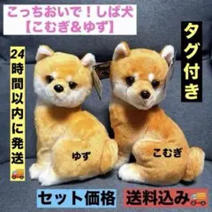 希少】こんとあき プレミアム ぬいぐるみパペット【全2種類