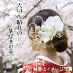 Item thumbnail for item 92e95583-9bd1-489a-973b-8009e006c183