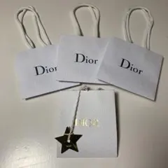 Dior ショッピングバッグ 4枚セット