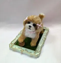 羊毛フェルト　ミックス犬　マルプー　犬　マルチーズ　プードル