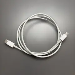 Apple純正　ホワイトtypeC-Lightningケーブル