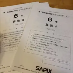 2026年最新】sapixの人気アイテム - メルカリ