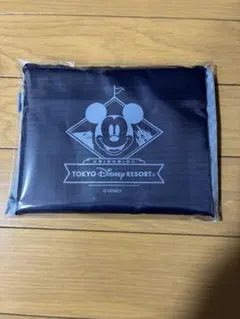 Item thumbnail for item 63211a1c-6cc1-495f-b0ed-f745f0571948