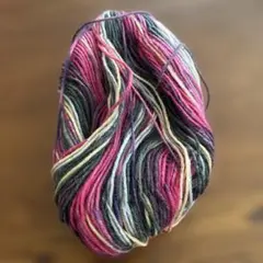 アンチョビ　9/16〜29まで発送不可様 リクエスト 2点 まとめ商品