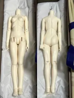ボークス SD13女の子 ホワイト肌 ボディのみ - メルカリ