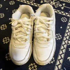 Item thumbnail for item dbdb29d9-0d3c-447b-8fee-408817424120