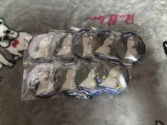 WINDBREAKER 場面写缶バッジ 杉下京太郎