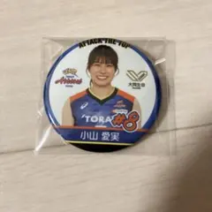 2025年最新】東レアローズの人気アイテム - メルカリ