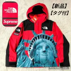 新品タグ付✨ノースフェイス シュプリーム コラボ マウンテンパーカー 自由の女神