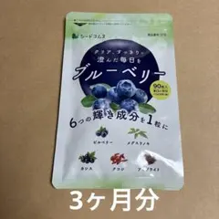 ブルーベリー 90粒 3ヶ月分