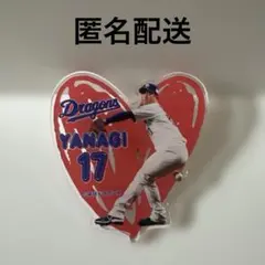 中日ドラゴンズ BIGピンバッジ 柳裕也