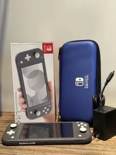 Nintendo Switch Lite グレー 充電器・ケース付き