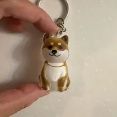 【新品】柴犬　キーホルダー　毛玉ボトル　うちの子けだまだま