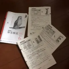 2026年最新】進研模試2022年6月大学入学共通テスト模試の人気アイテム