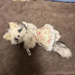 ハンドメイド ぬいぐるみ 猫
