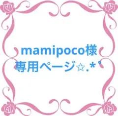 mamipoco様専用ページ✩.*˚