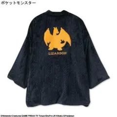 アベイル ポケモン リザードン はんてん