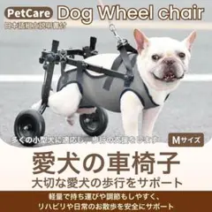 2026年最新】犬 車椅子の人気アイテム - メルカリ