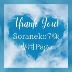 Soraneko7様 リクエスト 2点 まとめ商品