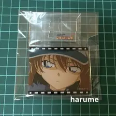 名探偵コナン　灰原哀　アクリルマグネット(TVアニメ名場面ver)コナンランド