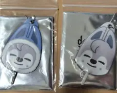 StrayKids スキズ domainATEJAPAN ミニうちわ　チャニ✕２