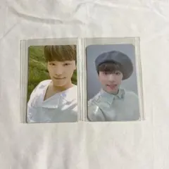 セブチ ymmd トレカセット ディノ