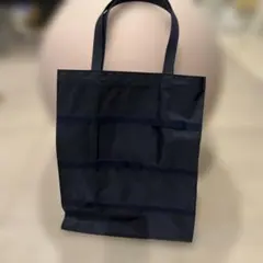 ナイロンのブルーバッグ 受験用バッグ