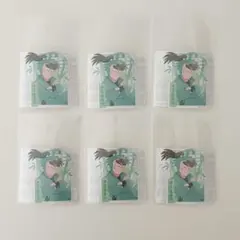 忍たま乱太郎　ミニデコステッカー 六年生 中在家 長次 6枚セット 忍たまシール