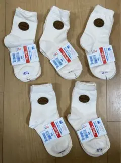 Item thumbnail for item 8aa3120c-db5e-47ce-98df-66d06ddd62e7