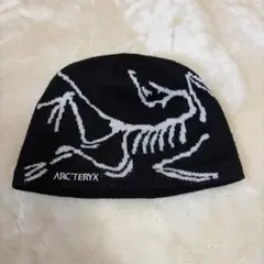 ARC'TERYX BIRD HEAD TOQUE ニット帽 - メルカリ