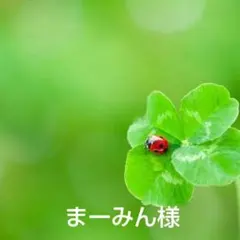 まーみん様専用ページ