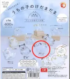 うちの子のけだまだま　限定アソート　ミックス