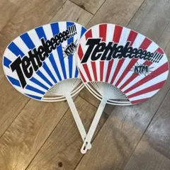 Item thumbnail for item 40fa3d3e-7c1d-47a9-b978-0ed6e9f4d8f5