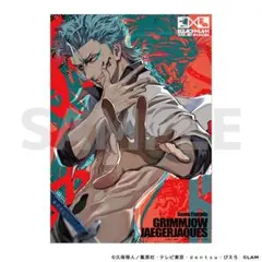 2026年最新】グリムジョー カードの人気アイテム - メルカリ