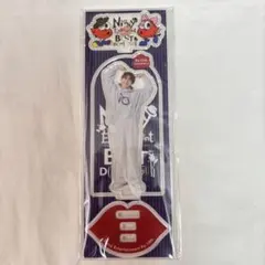 Nissy アクスタ