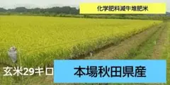 本場秋田県産 令和7年産あきたこまち玄米29キロ①のサムネイル