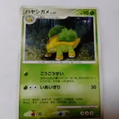 ポケモンカードゲーム　ハヤシガメのサムネイル