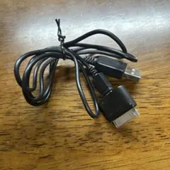USB 30-pin 充電ケーブル