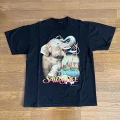 Item thumbnail for item 879c8bc9-743a-4185-bb78-4331bbea3368