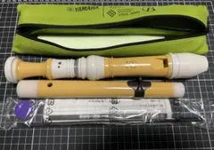 Item thumbnail for item 28d43bce-76c9-4975-82df-3d80f3cdb773