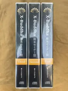 絶版　X-Buddha 期末セミナーセット　テキスト付き　仙人さん 2025年最新】mr.x 仙人の人気アイテム - メルカリ