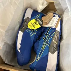 Item thumbnail for item 8577fd2b-57c8-4bb3-ad34-82c56f616427